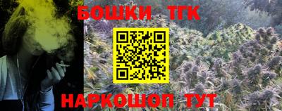 индика Чебаркуль