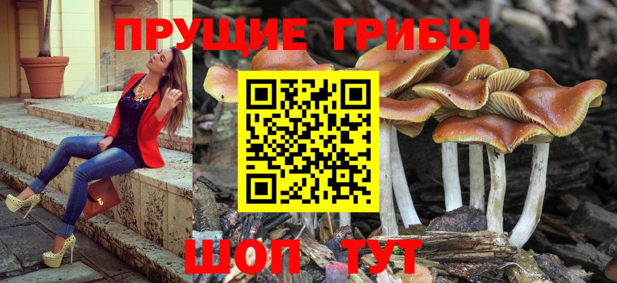 Галлюциногенные грибы Magic Shrooms Артём